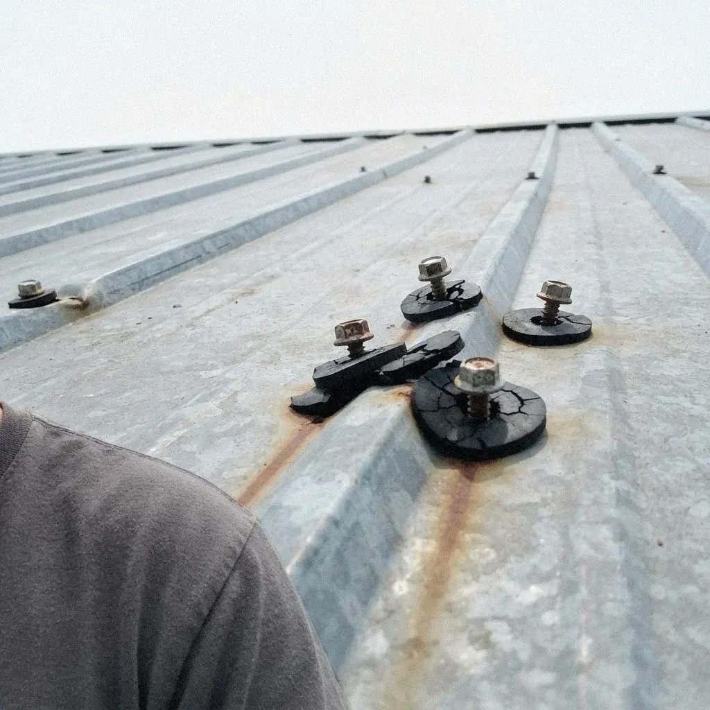 Common roof problems in Bellevue, WA